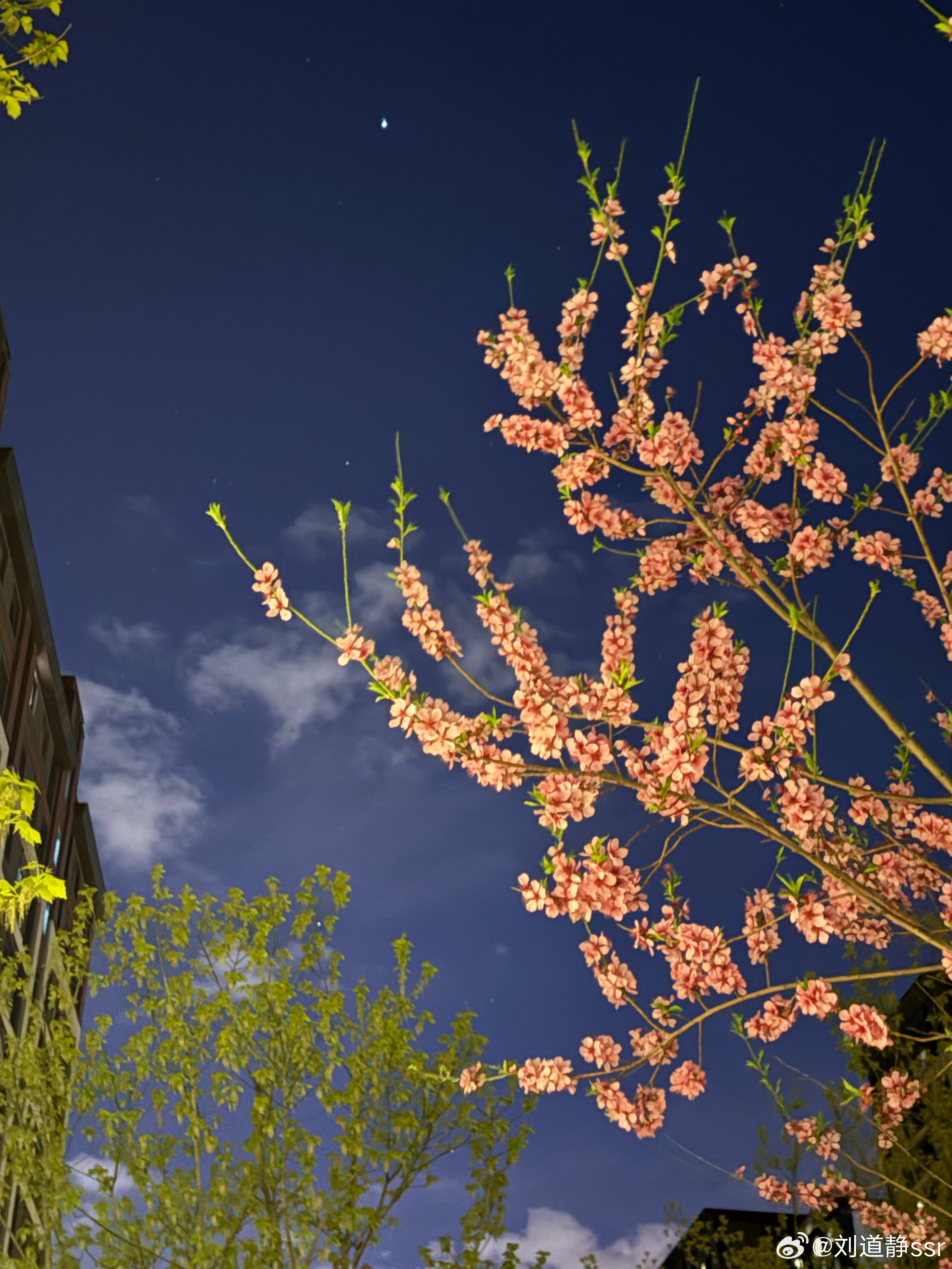 告诉我：晚上遇到好看的天要怎么拍！？长曝光～ 