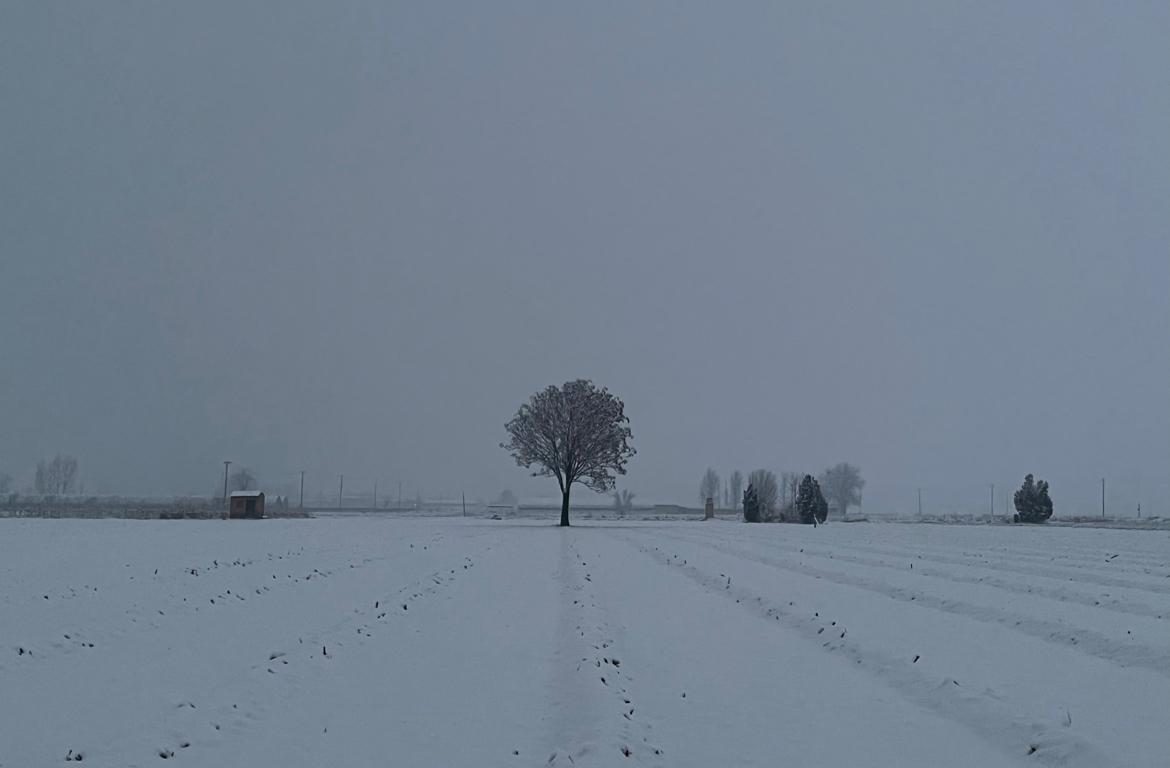 北国之冬，千里冰封，万里雪飘，纪念今年冬天的第五场雪。