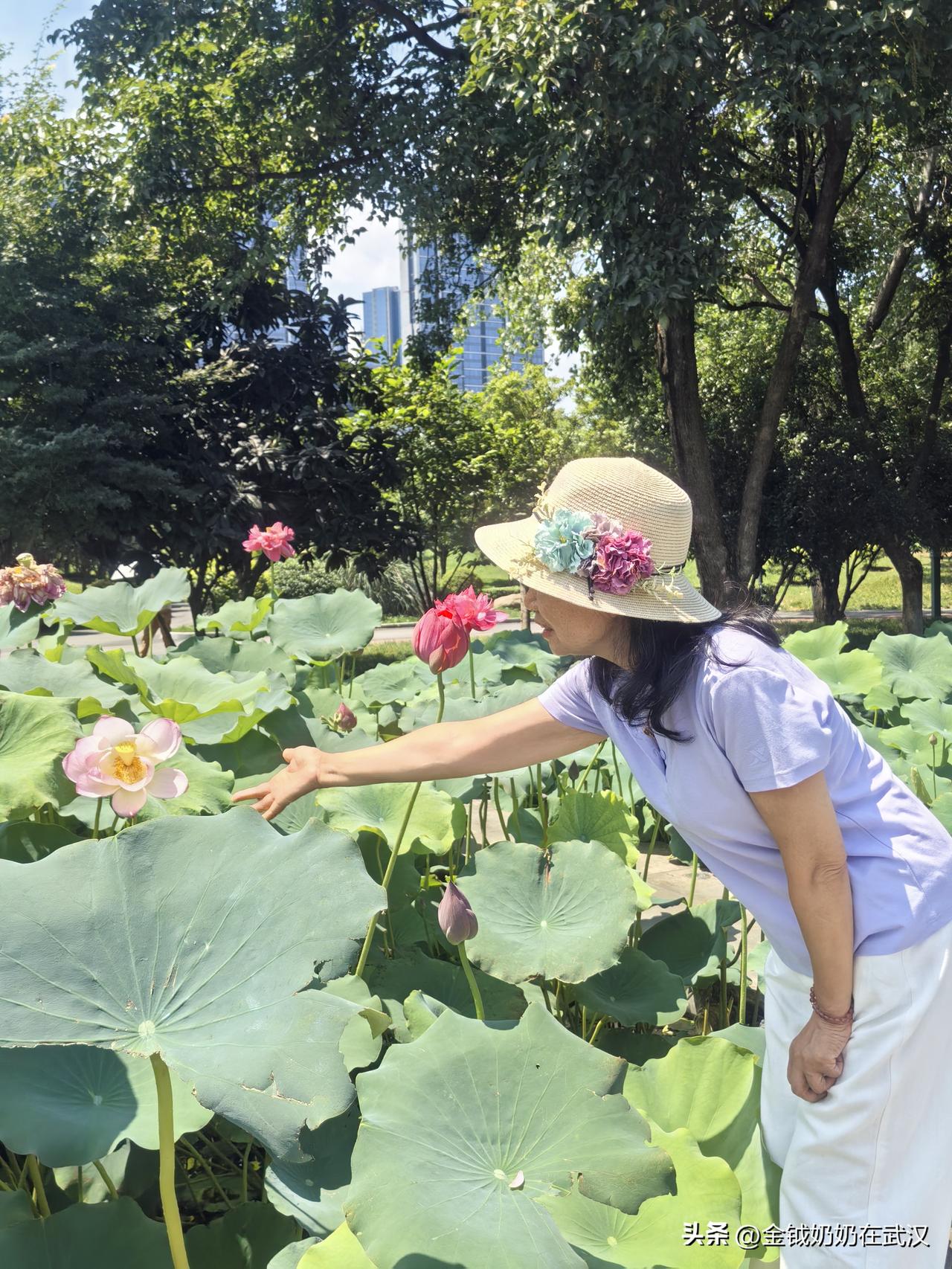早上6点两个孙子就起床了，吵吵闹闹的我本来想再迷糊一会儿，二宝小骏马直接爬到我的