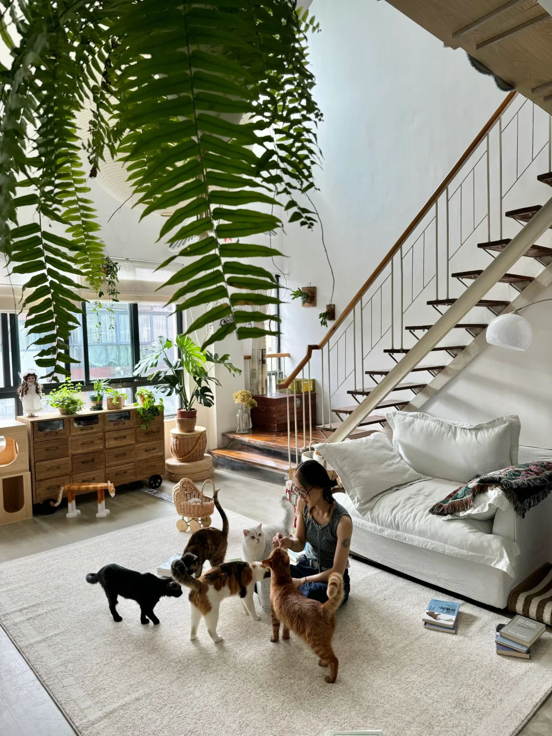 我的生活，是养了猫后才变好的