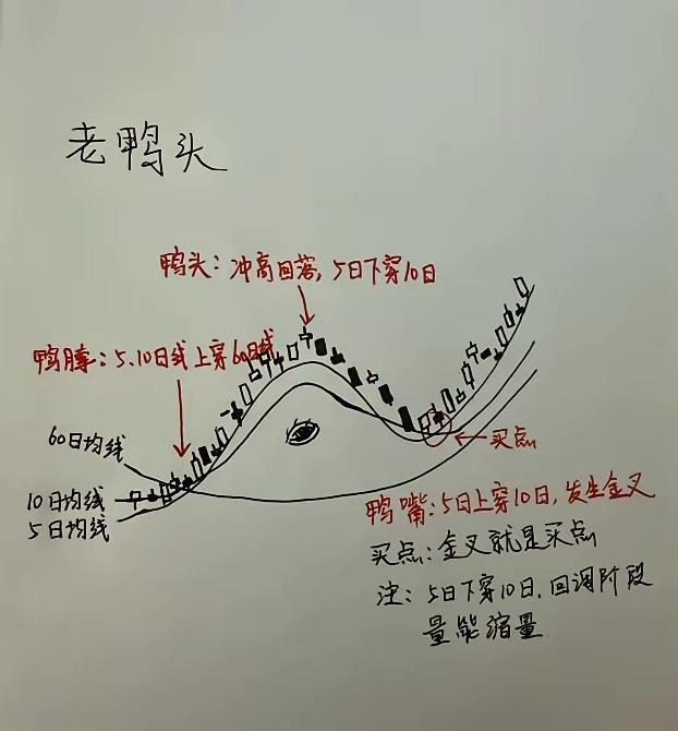A股铁律：大涨前必挖坑，大跌前必发疯！如何识破主力套路，反杀收割？

想在A股生