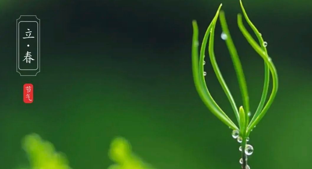 立春了，春节马上就到了。祝大家，新年快乐