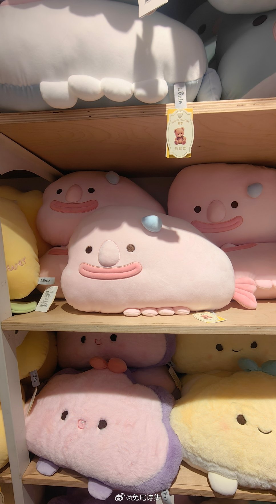 偶遇潘猪