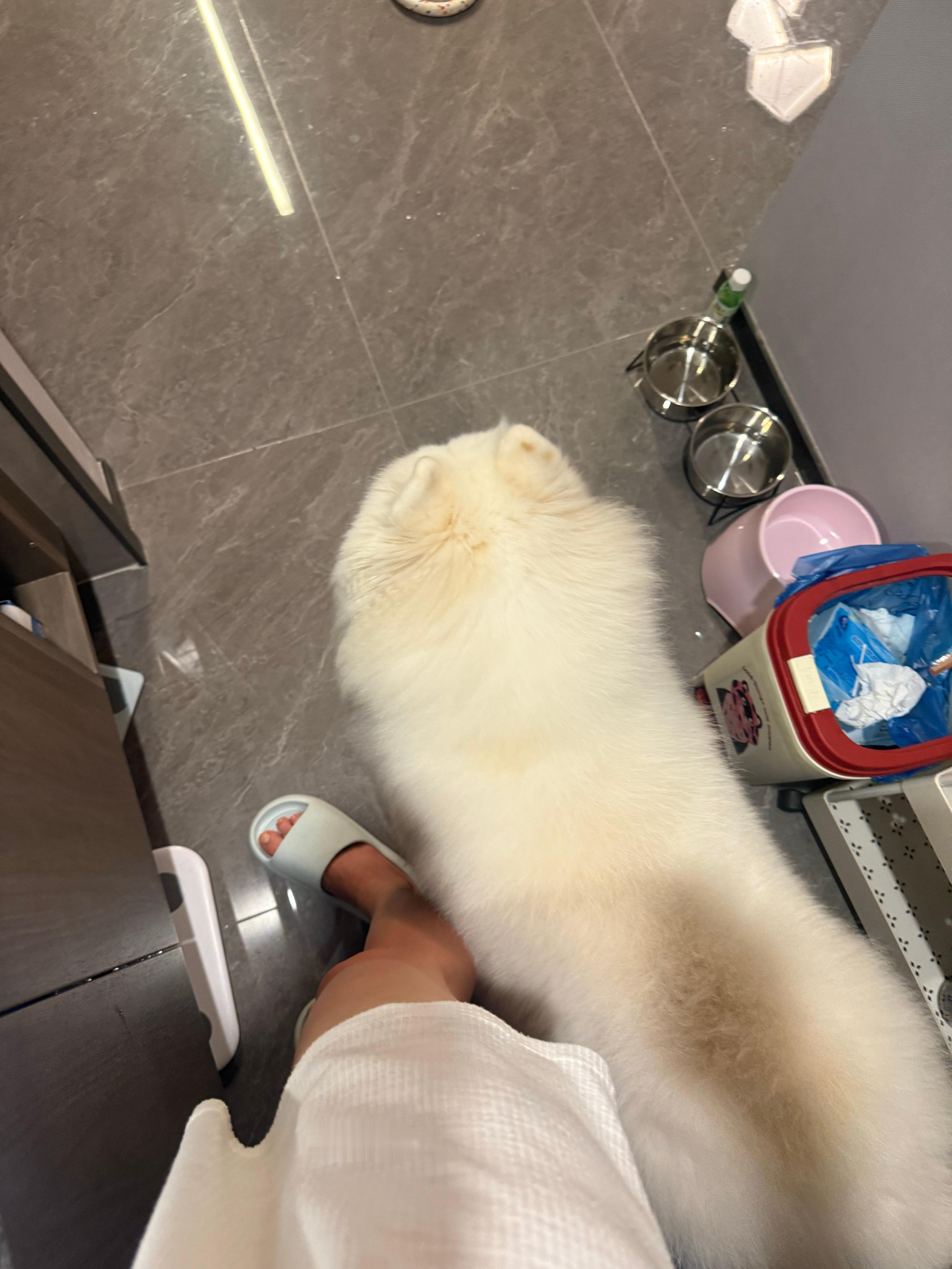 孩子！我只是在刷牙！！！ ​​​