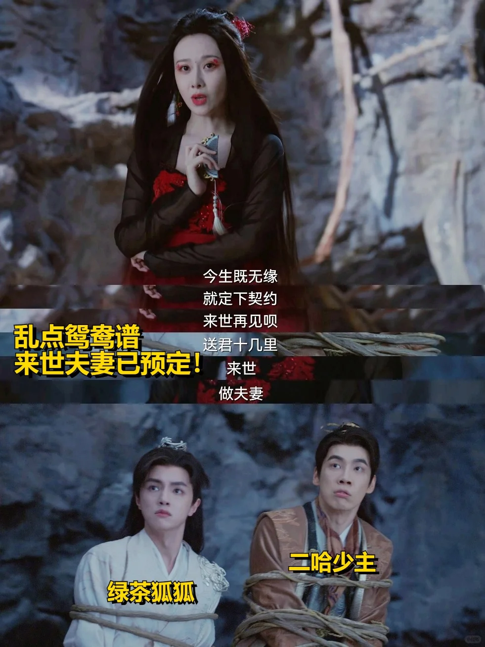 龙族少主×绿茶狐狸，预定下辈子夫妻情缘！