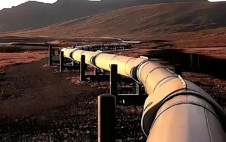 德国🇩🇪这下真要慌了。有知情人士爆料，俄罗斯已明确通知哈萨克斯坦和德国，从今