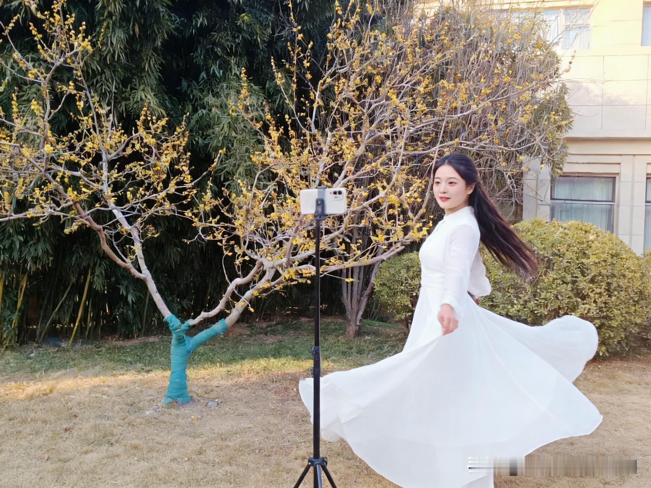 午后，阴转晴，王姐邀我去迎宾馆赏腊梅。那儿几株腊梅开得正旺，黄艳艳的花朵缀满枝头