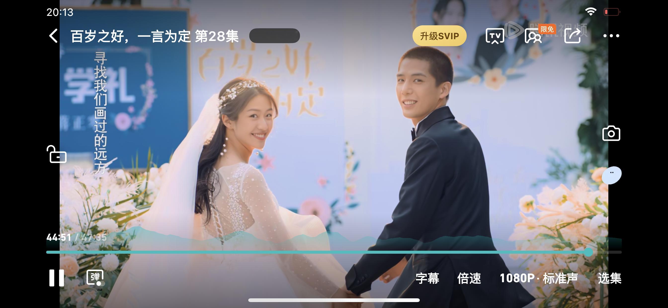 百岁之好，一言为定居然还不错