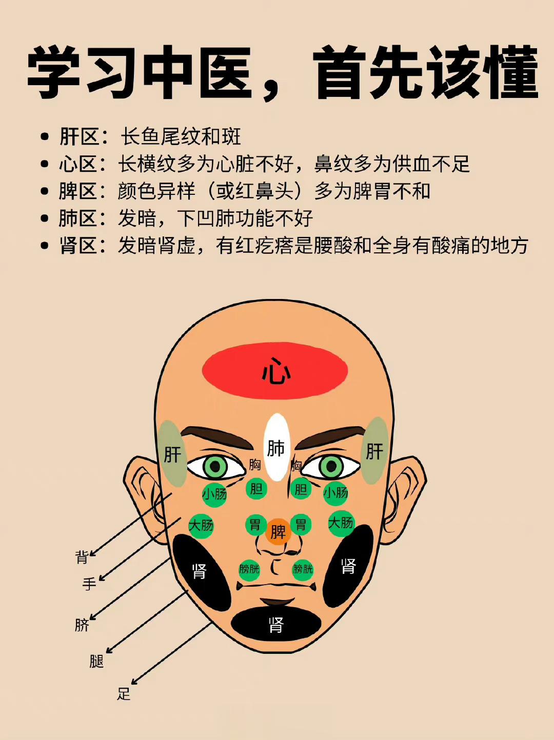 中医面诊｜学中医最起码该懂的专业知识👍 ​ ​​​