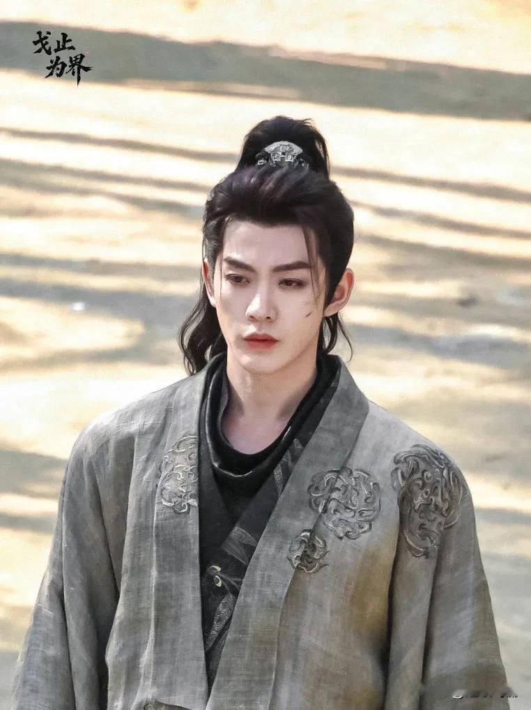 这才是我该看的古偶大男主