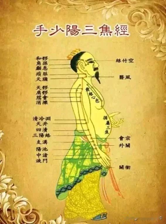 爆款自媒体文案：

三焦一通，浑身轻松！三味药助你畅通三焦，告别百病添堵！

你