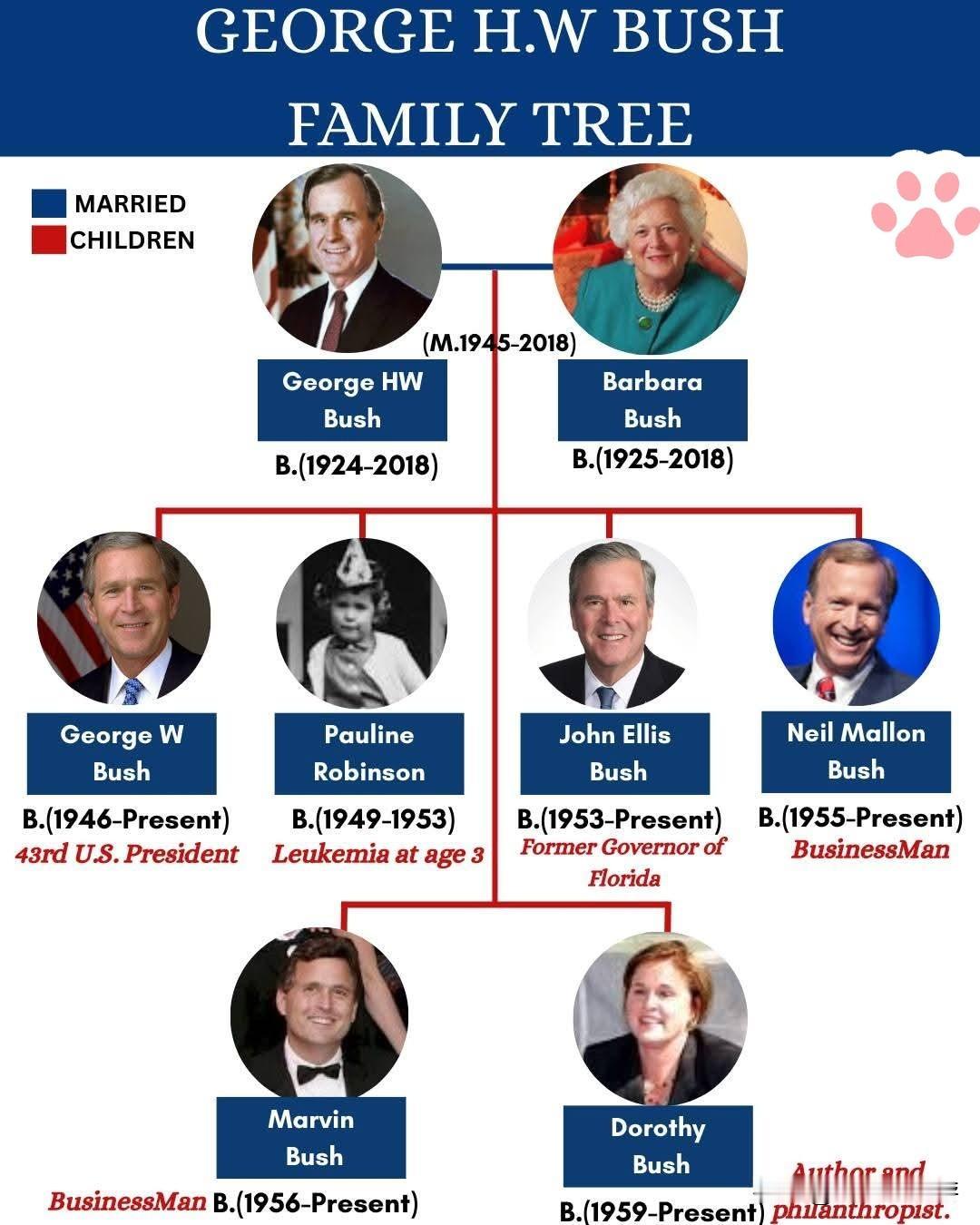 美国政坛最有权势的家族：深入解读乔治·赫伯特·沃克·布什家族族谱