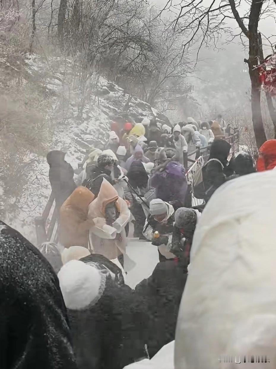 这山非爬不可吗！老君山一下雪，旅游人潮就多了，11月17日老君山大雪过后，那景色