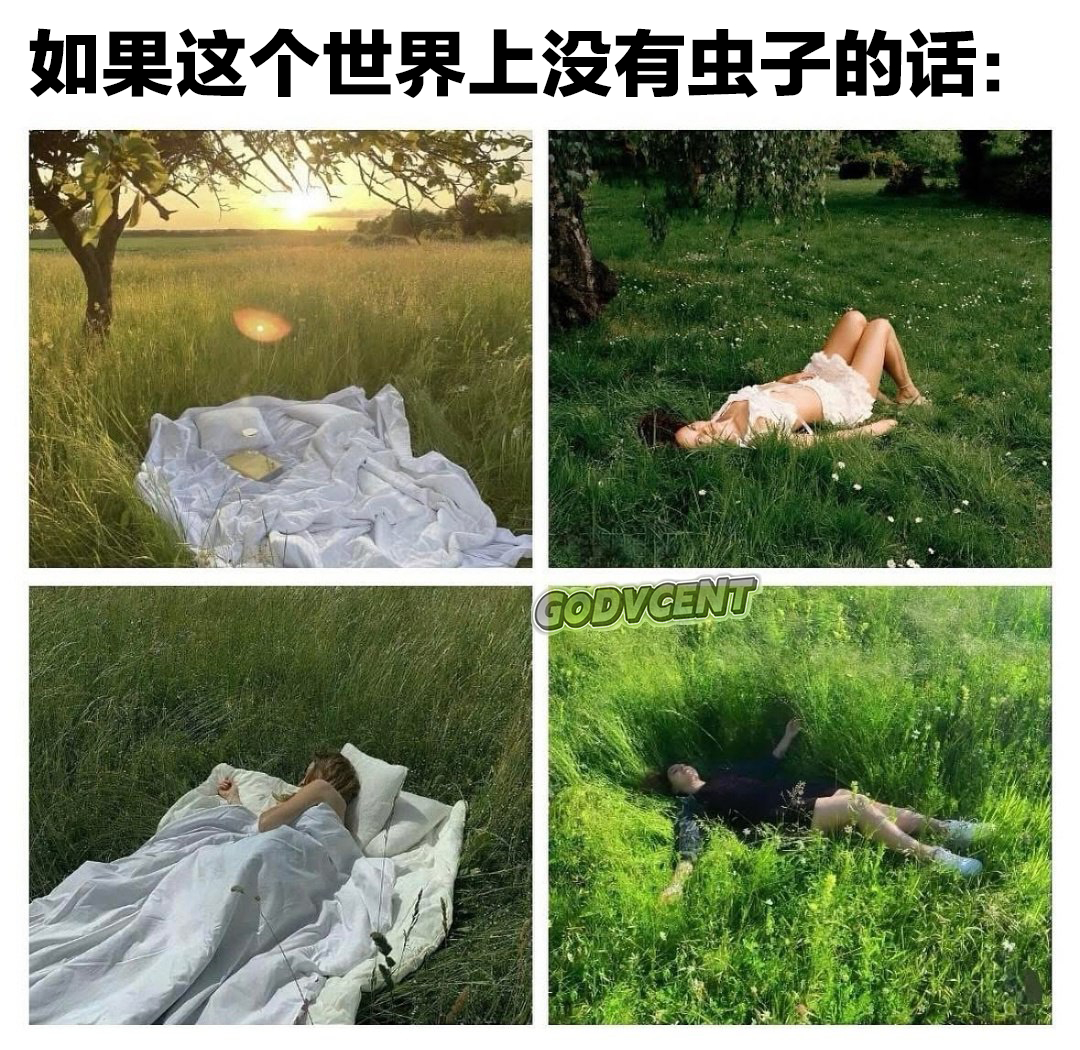 梦想世界 ​​​