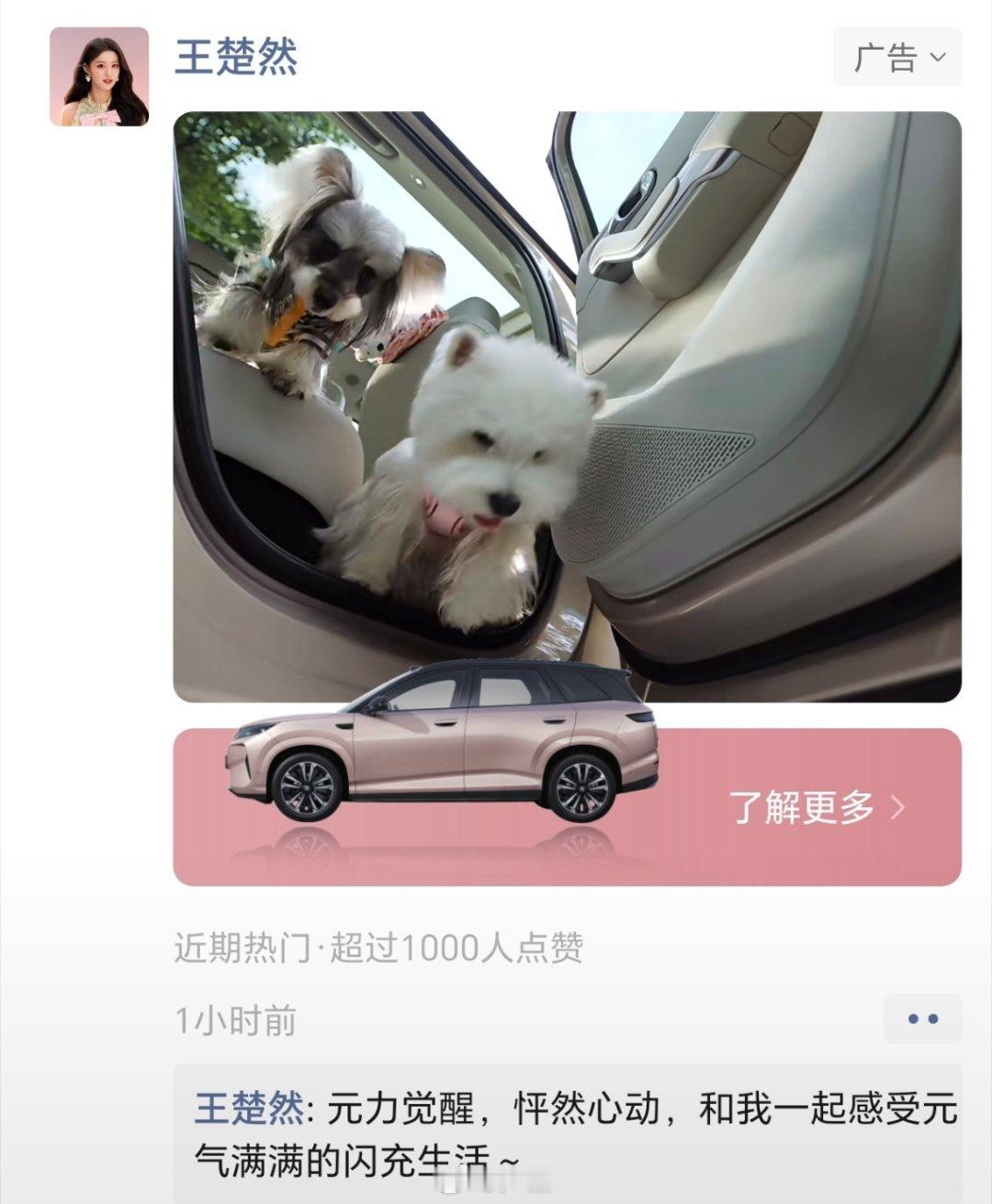 尽管是朋友圈广告，但是这条并不反感。漂亮，喜欢，确实元力觉醒，怦然心动。
