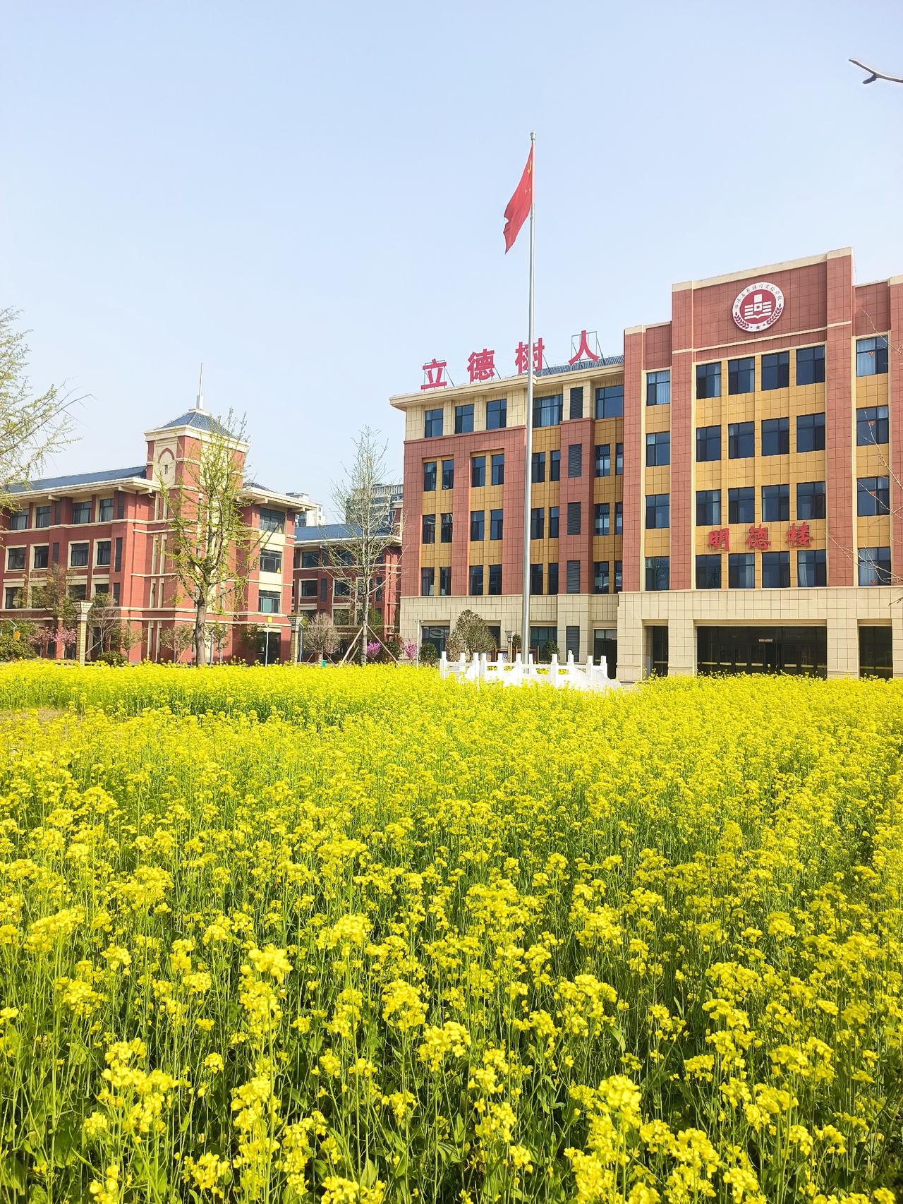 有一位老师说，她也喜欢拍照，拍学生，拍学校，拍教学。把有价值的东西拍下来，欣赏、