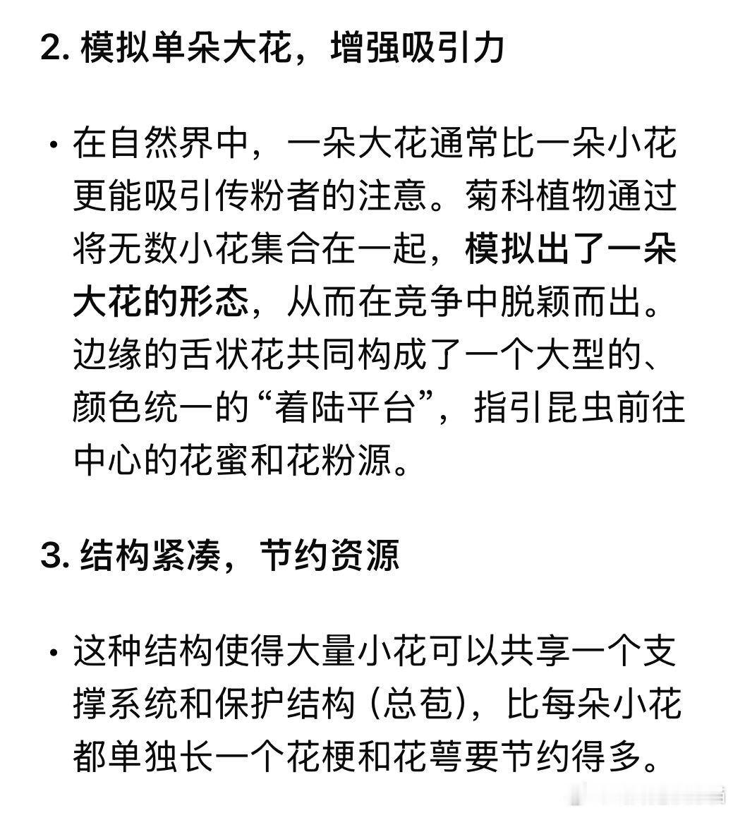 以为一朵花其实是一大家子菊菊花每一片花瓣都是一朵小花 跟爸妈逛菊展被科普，瞬间打