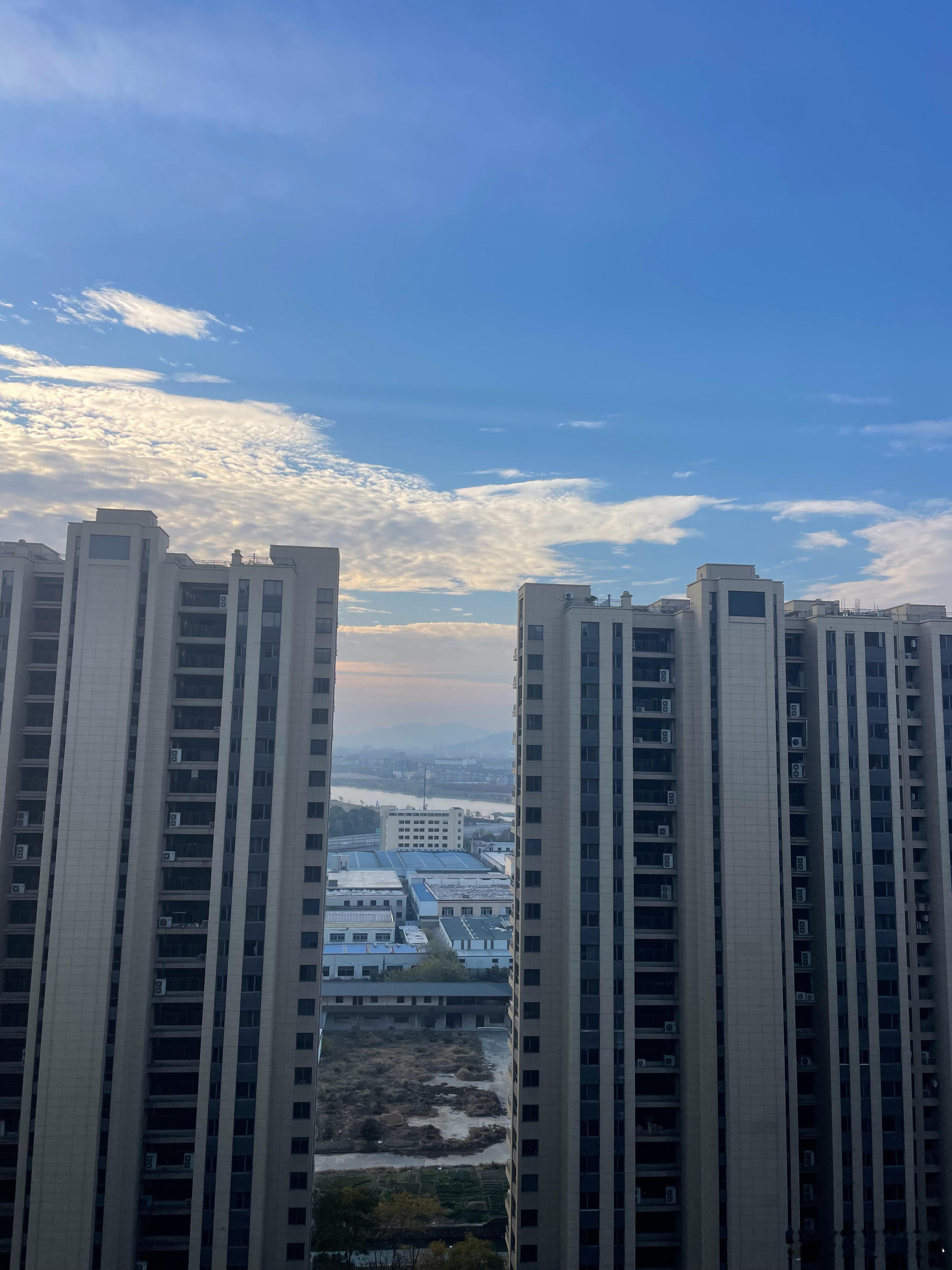 阳光照耀，美好的一天要来了今天注定会是个通宵 世界女排新闻  2024杭州女排世