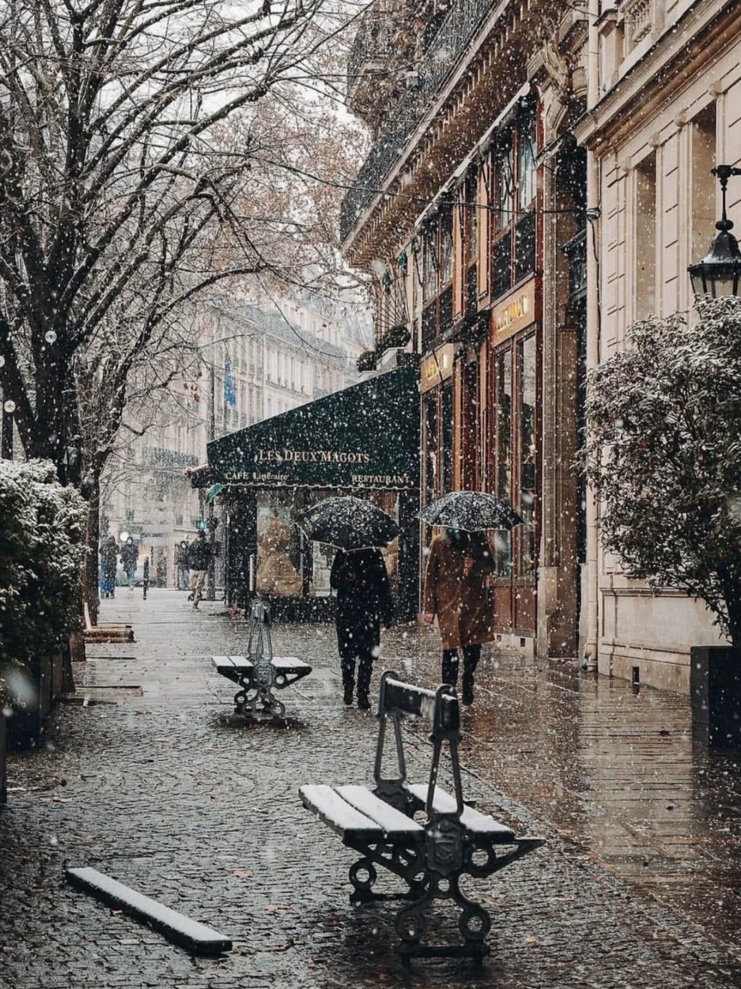 住进埃菲尔铁塔旁公寓❄️期待一场巴黎大雪