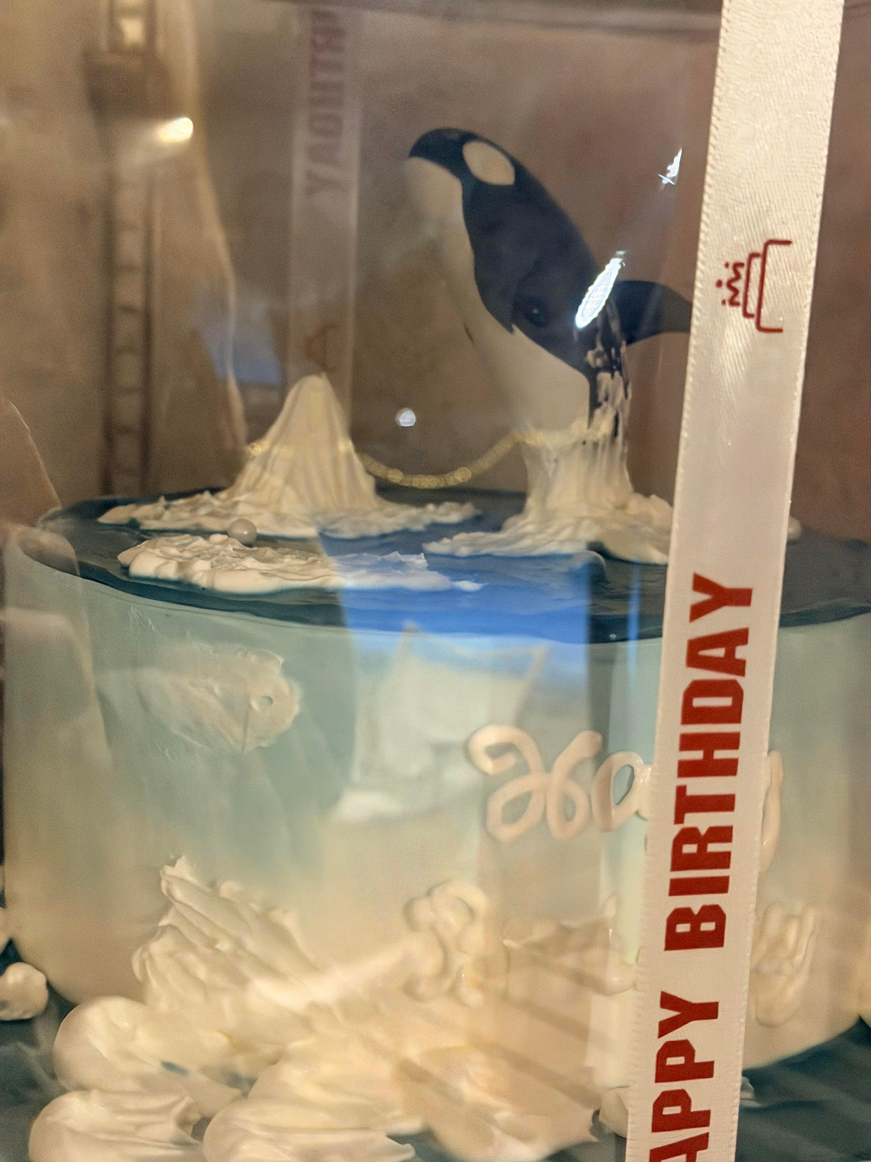 真不错！《现在就出发3》录制收官夜，节目组给黄景瑜过生日了，送了有🐳造型的生日