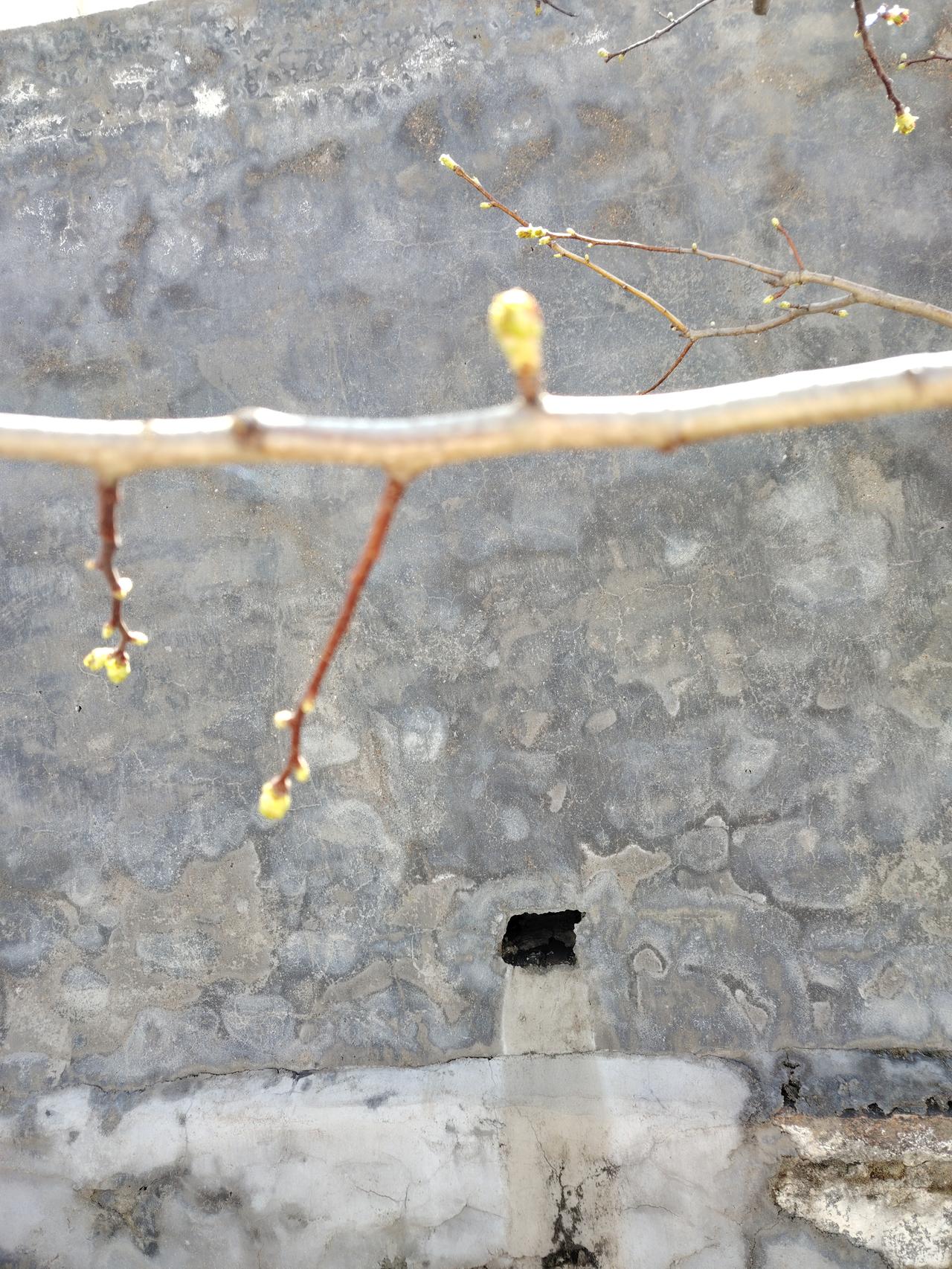 记录我的2026 2026年，注定是难忘的一年。就像南阳知府记录的那样，3月29