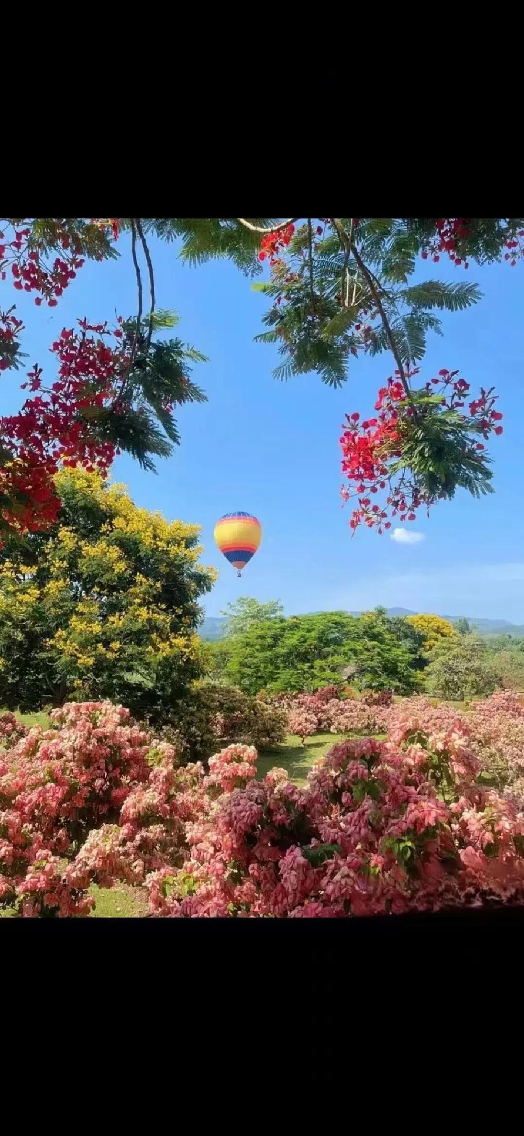 周末愉快[玫瑰]
每一个努力奋斗的今天，都有可能邂逅充满惊喜的明天！
新的一天，