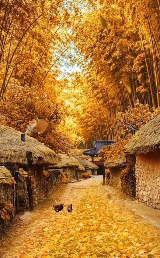 美图欣赏——乡村秋色之美