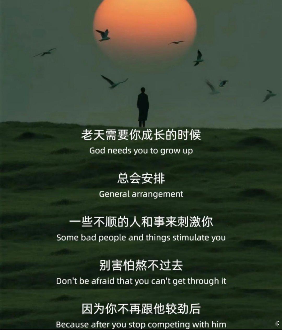只管踏实努力，其余交给时间安排！ 