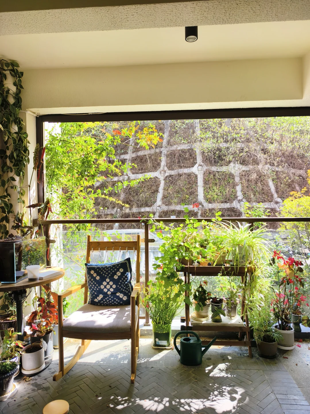 房东直租，大理的小院子两室一厅5.20🈳