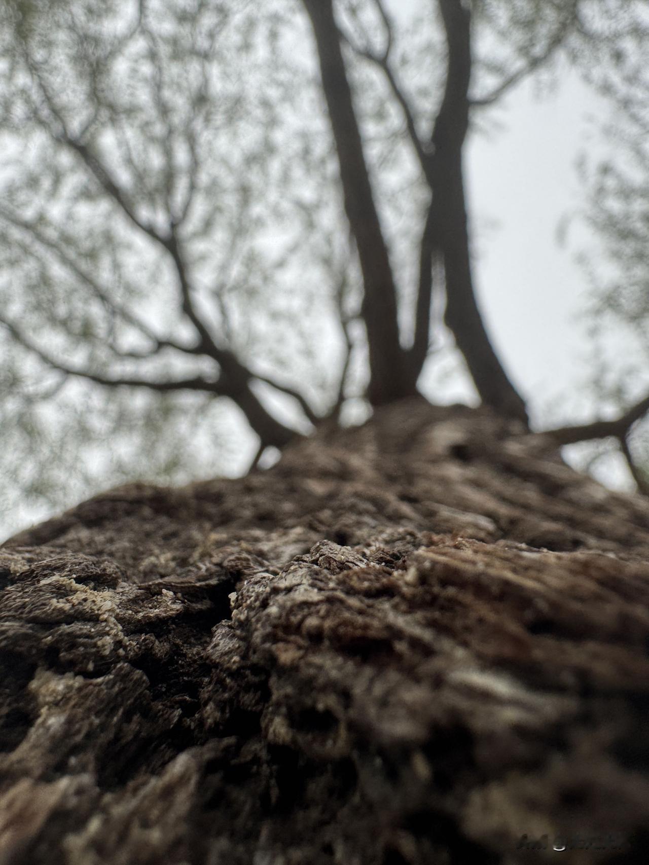 低谷时,安慰自己的一句话是什么?
今天的不开心就到此为止吧，明天依然光芒万丈。无