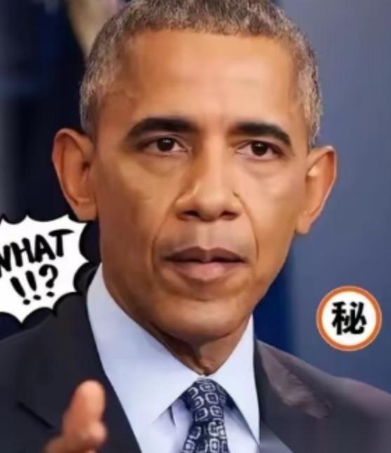 奥巴马曾表示：美国之所以没有搞定中国，不是因为中国的军事实力。
他们真正忌惮的，