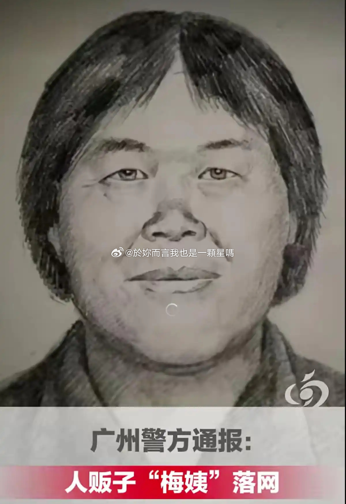 “梅姨”落网细节：其长相与模拟画像相似度不足30%；同居三年男友曾称她从不拍照、