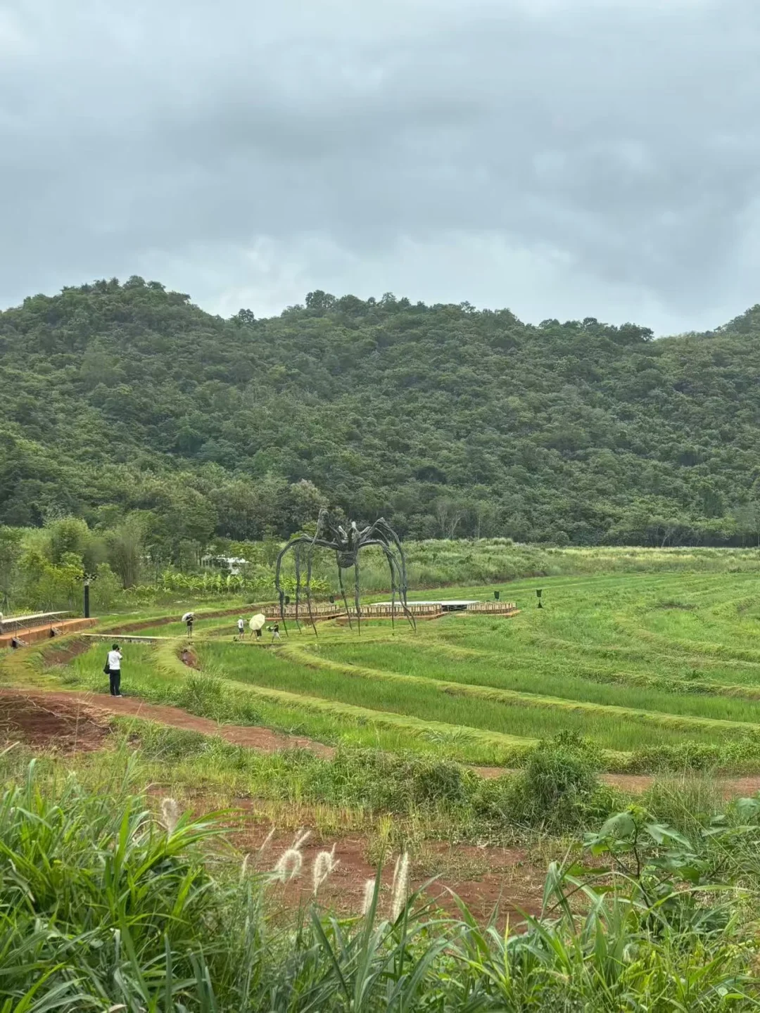 兴义这里的梯田太震撼了！