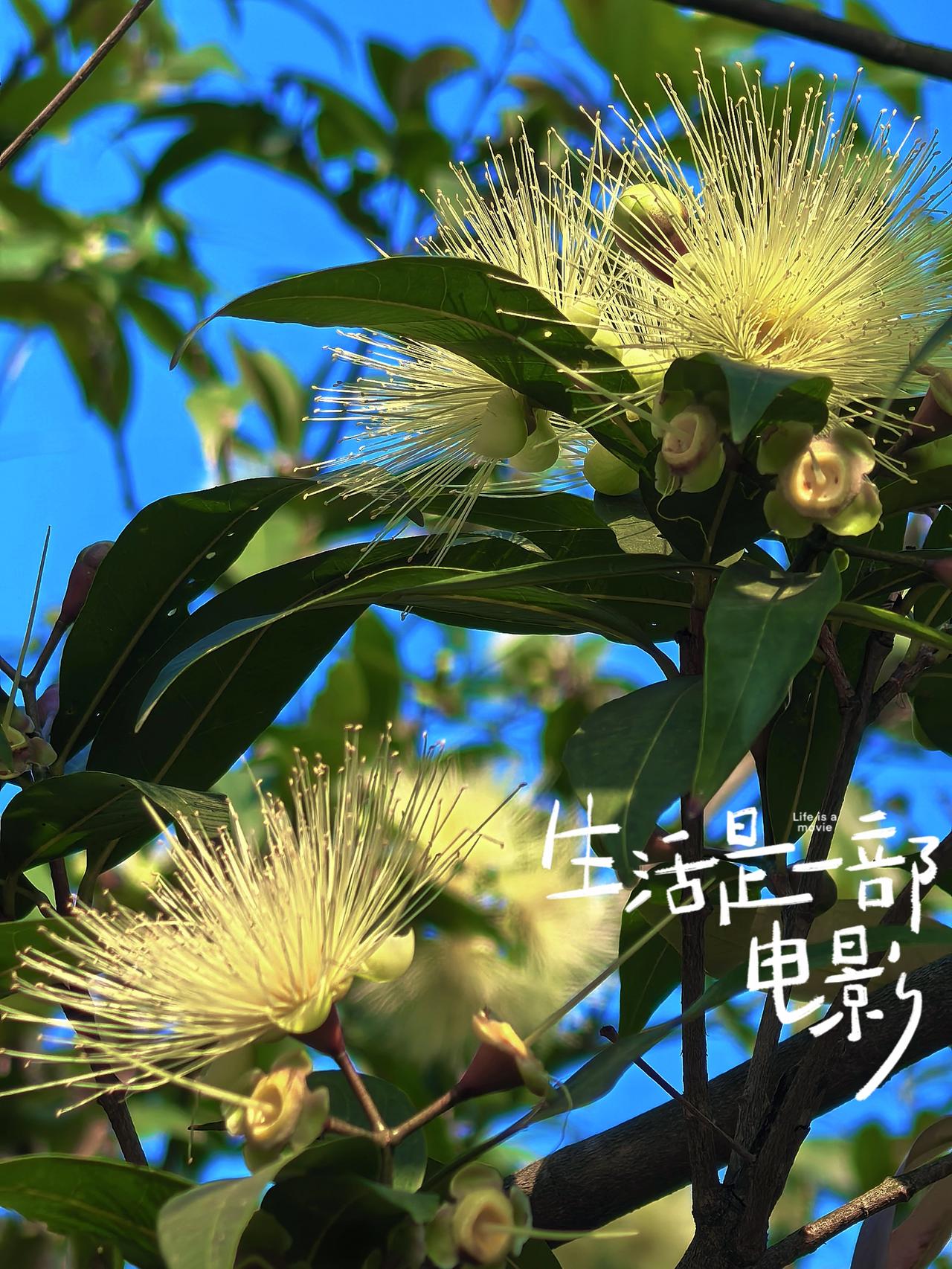 春归万物生，岁月皆温柔