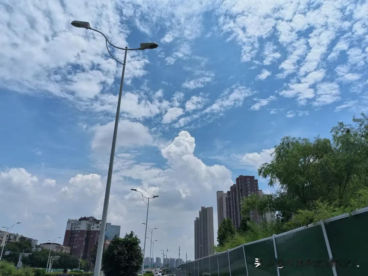 绿意翻涌成夏
这个夏天你只负责开心
#夏日随手拍#