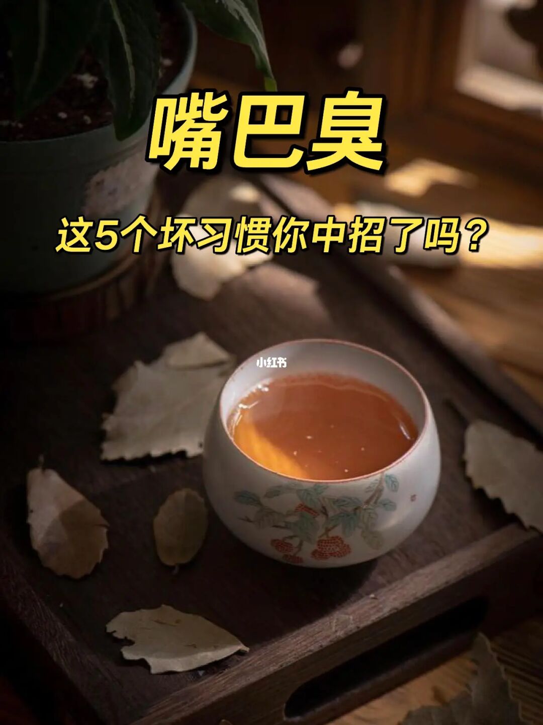 嘴巴臭😷这5个坏习惯你中招了吗❓