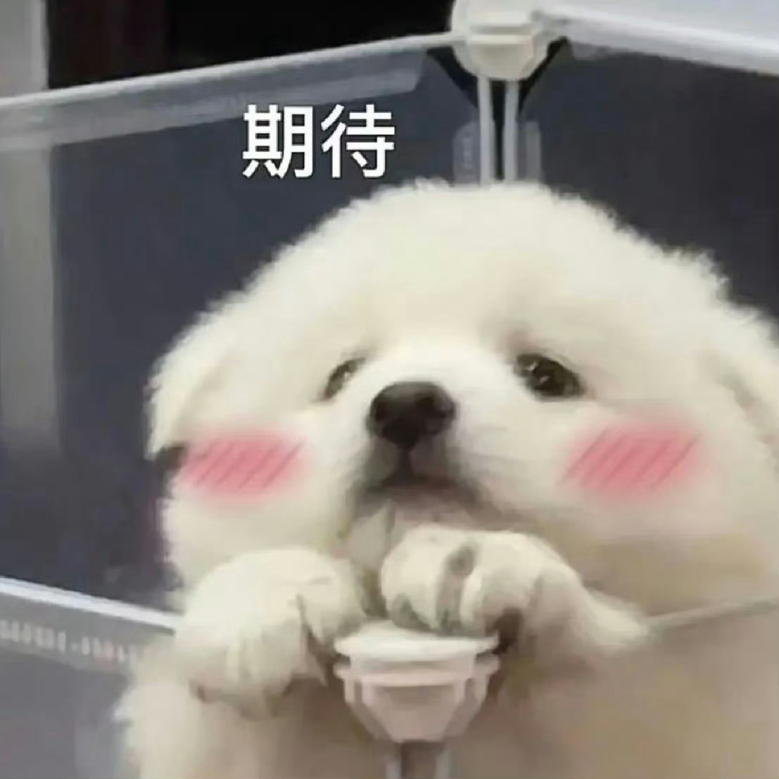 啊啊啊啊我现在满血复活了，爱你😘​​​