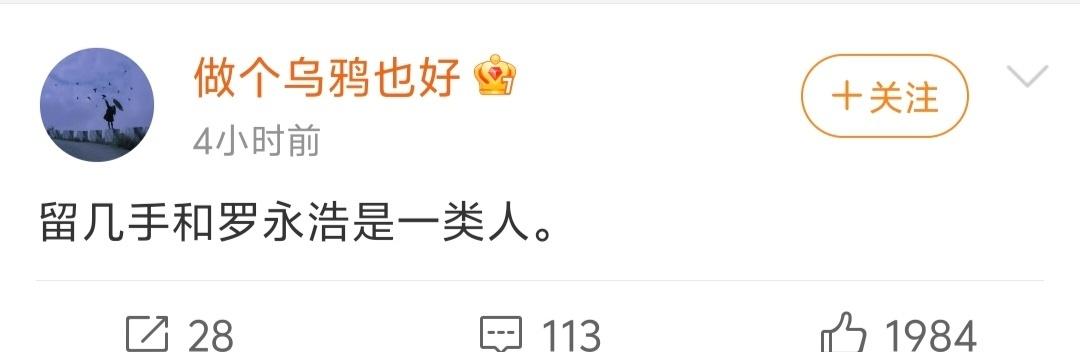 留几手有点像，但感觉罗永浩还稍微好点😂