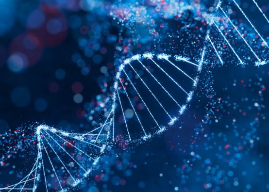 人类只用200多年就实现了超过百万年的跨越。中国的社会治理智慧和基础发明帮助欧洲