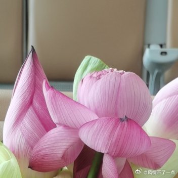 队友今天跟我说，前天是我都生日[允悲]最近真的是忙得头昏脑涨，完全想不起来这回事