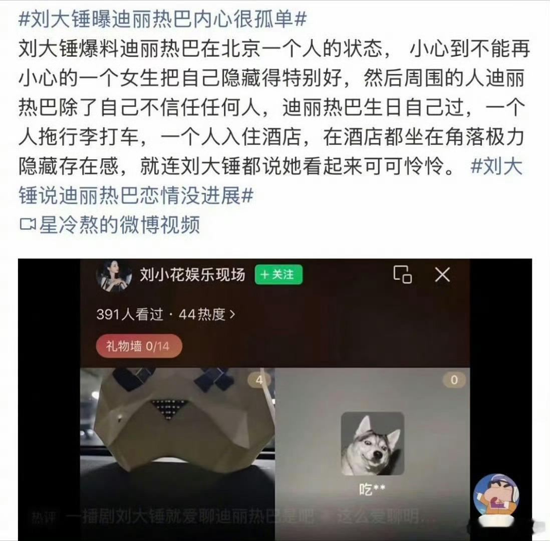 刘大锤曾说迪丽热巴很孤单刘大锤曾说迪丽热巴身边没人一边是直言迪丽热巴孤身一人，一