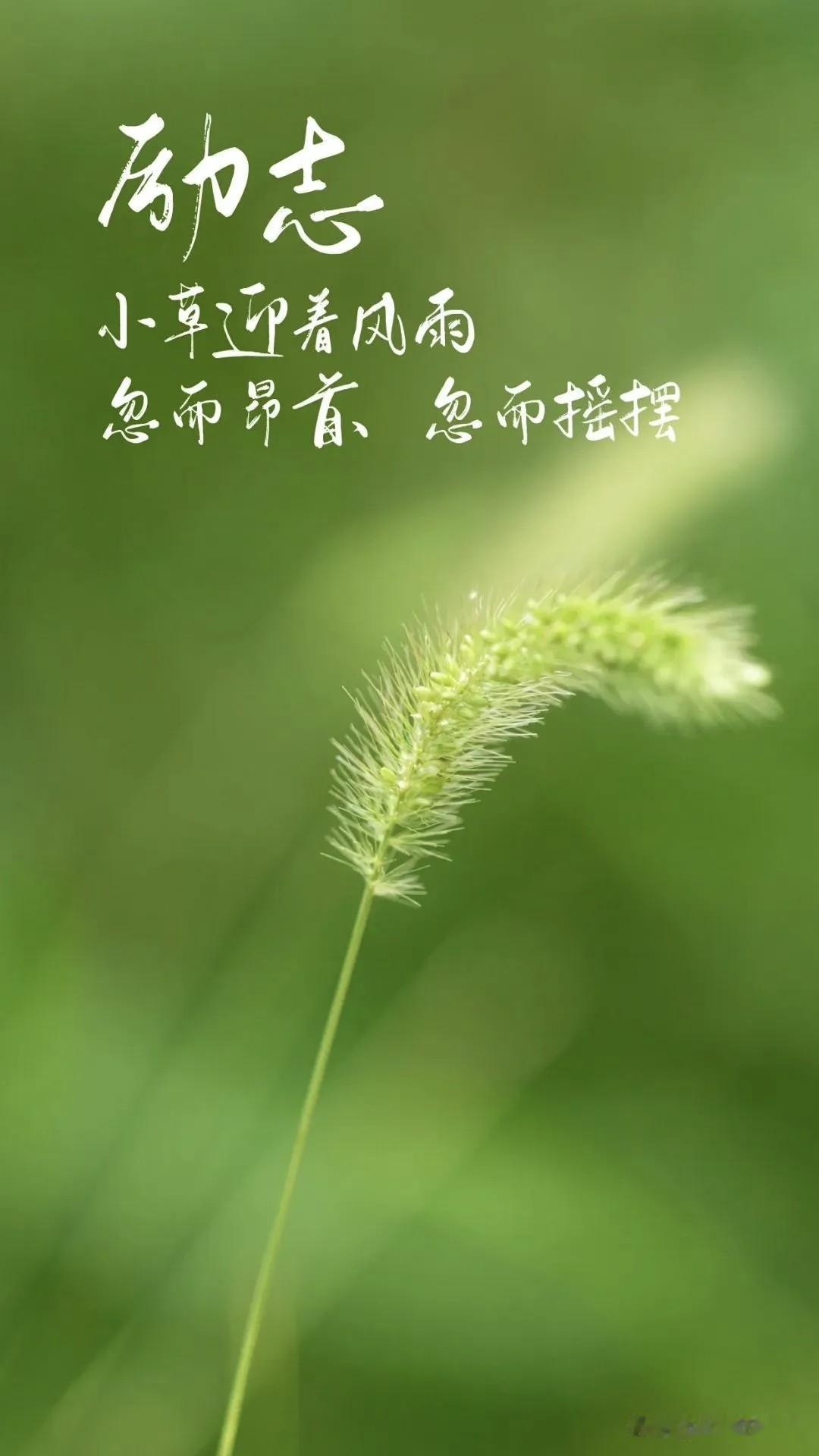 那些低落、疲惫、困惑的时刻，也许是要教会你：不要沮丧，不必惊慌，哪怕一路跌跌撞撞