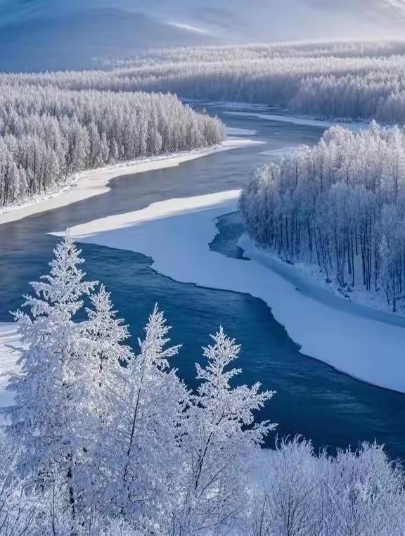 冬日仙境，冰雪森林，静谧河流，如梦如画。