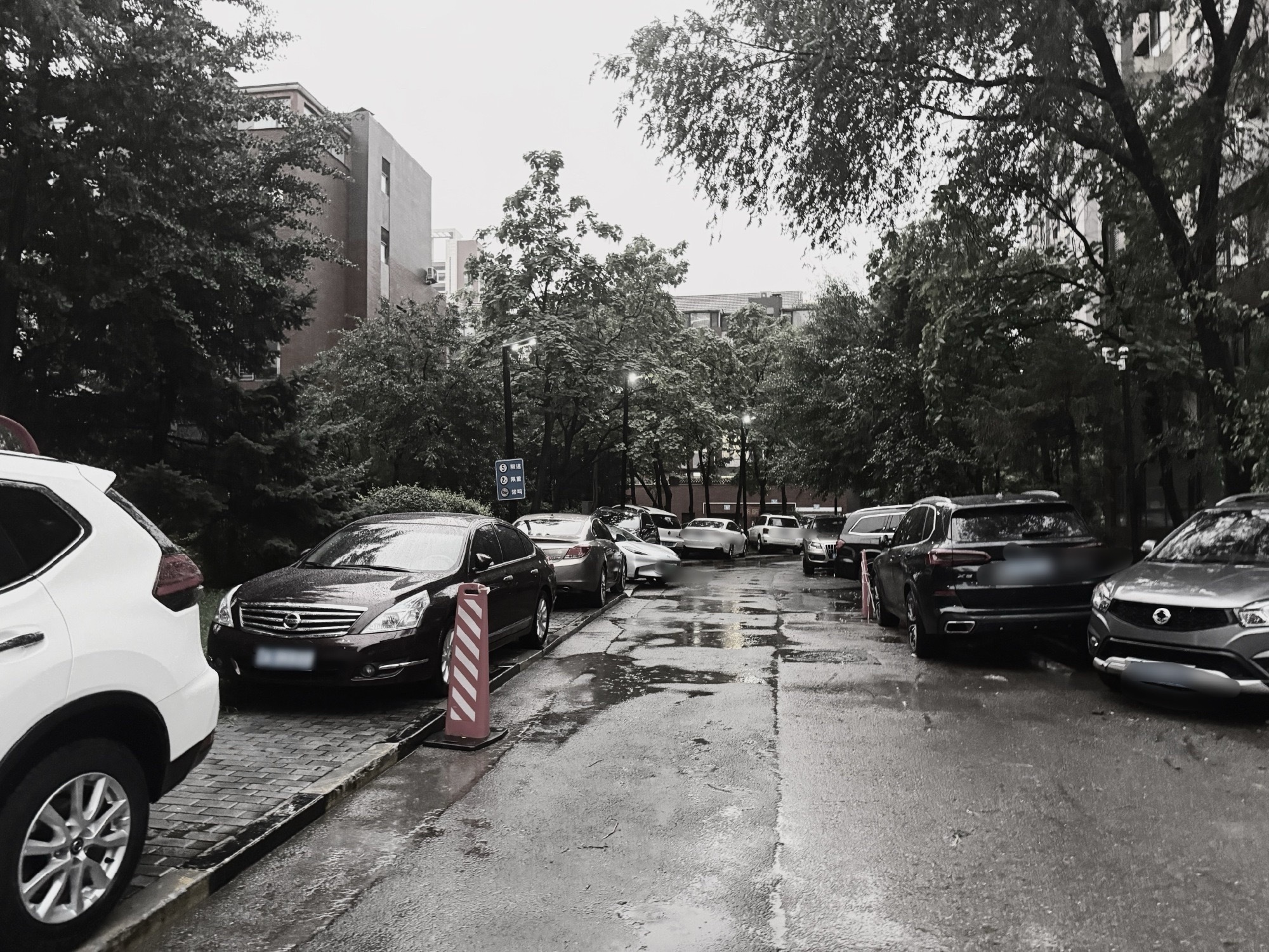 晚上吃完饭好奇下楼转了一圈地下车库因为恐慌已几乎空无一车，水面平静得仿佛已经积了
