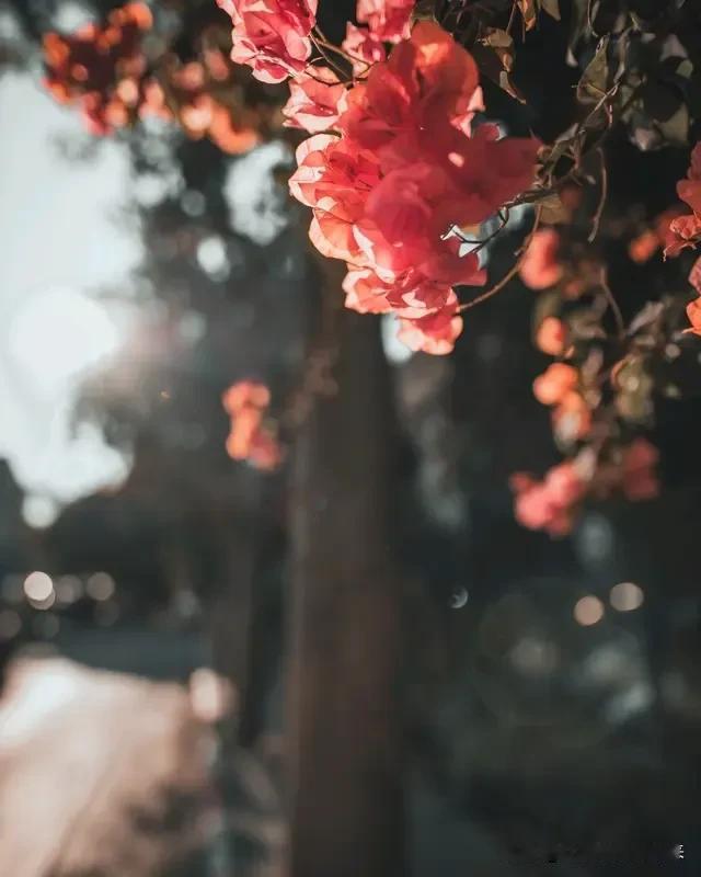 我觉得人类已经停止了进化。
越是优秀的人，越注意保持身材，所以她们就选择不生孩子