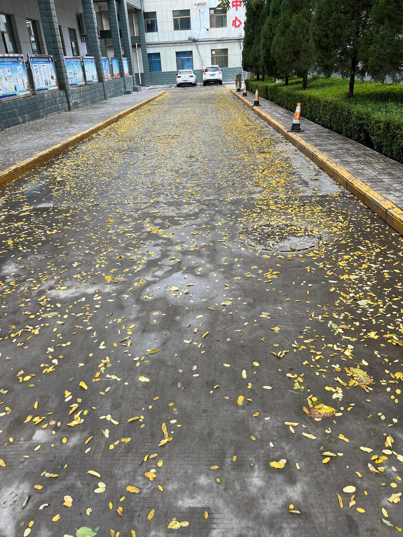 大家好，早安……