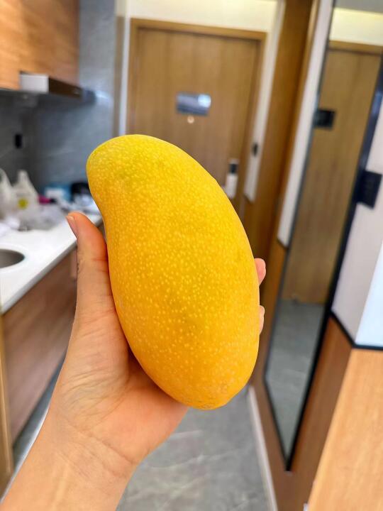 买了6次的报恩芒果——金煌芒
