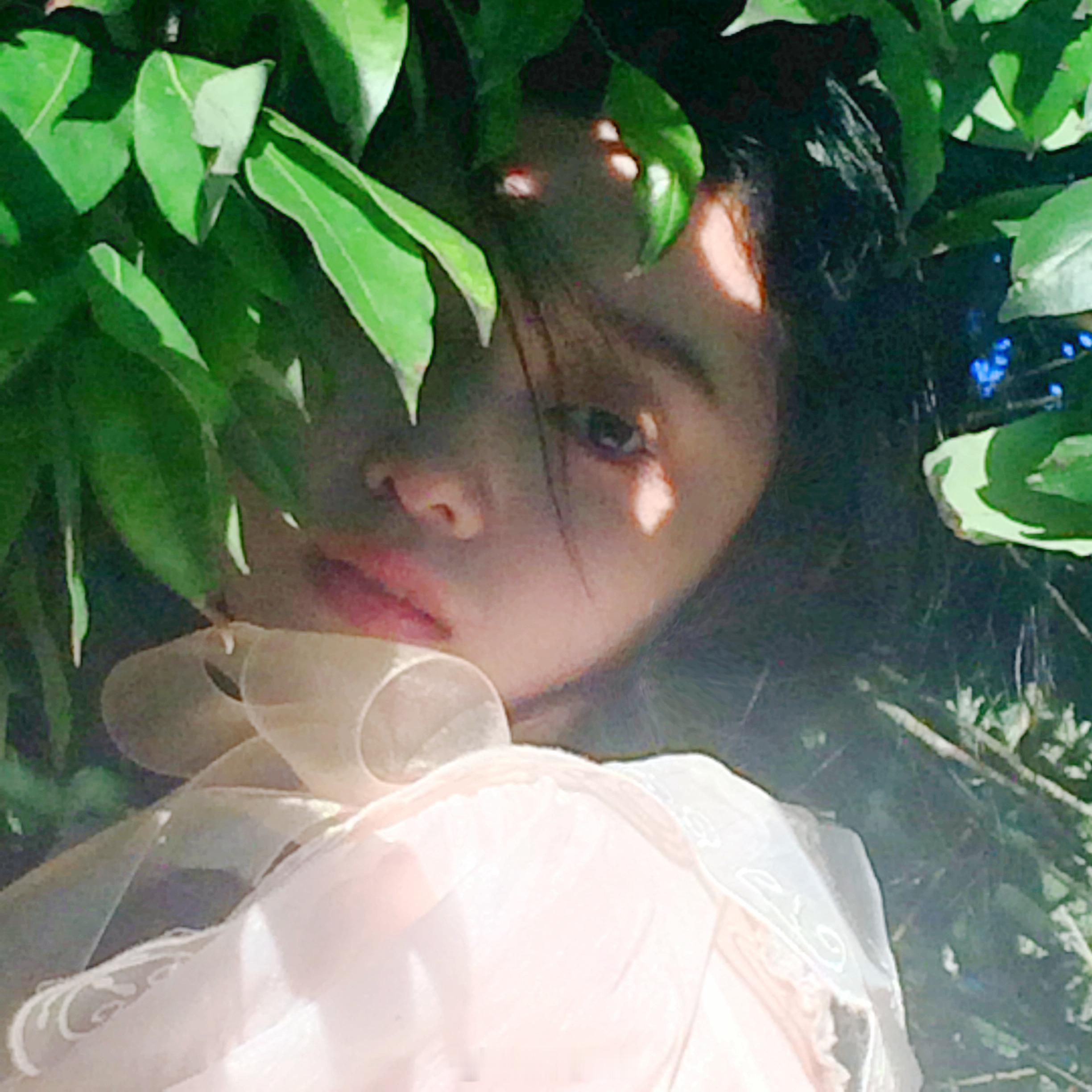 “树影上长满了花海” ​​​