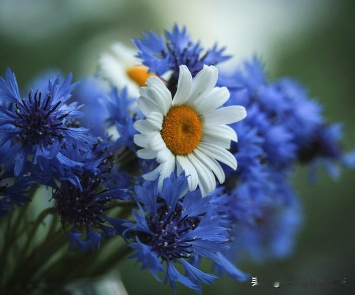 四十岁得学会藏，藏心，每一天都要让别人看到风平浪静的你，不管遇到什么事都不表现出