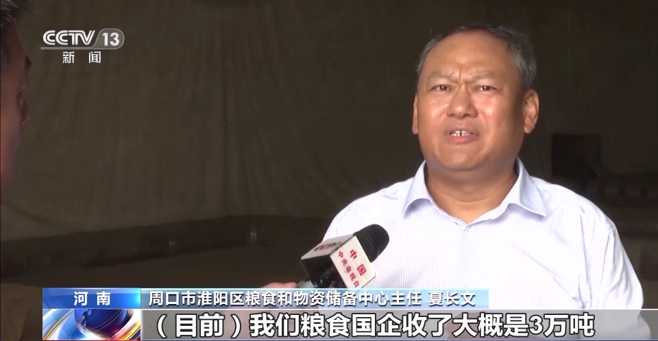 【“给群众吃个定心丸”，#河南分类分级收购受损小麦#】目前，新麦收购进入旺季。在